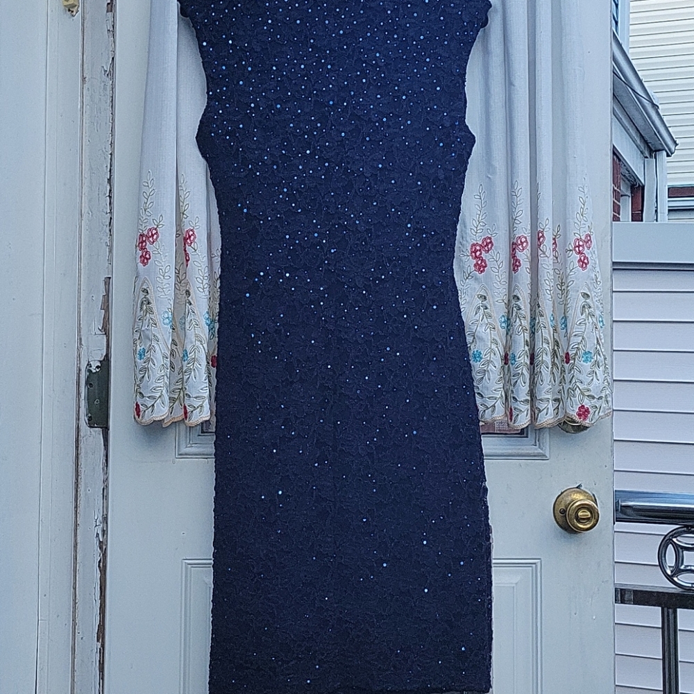Knee Length Navy Sequin Dress